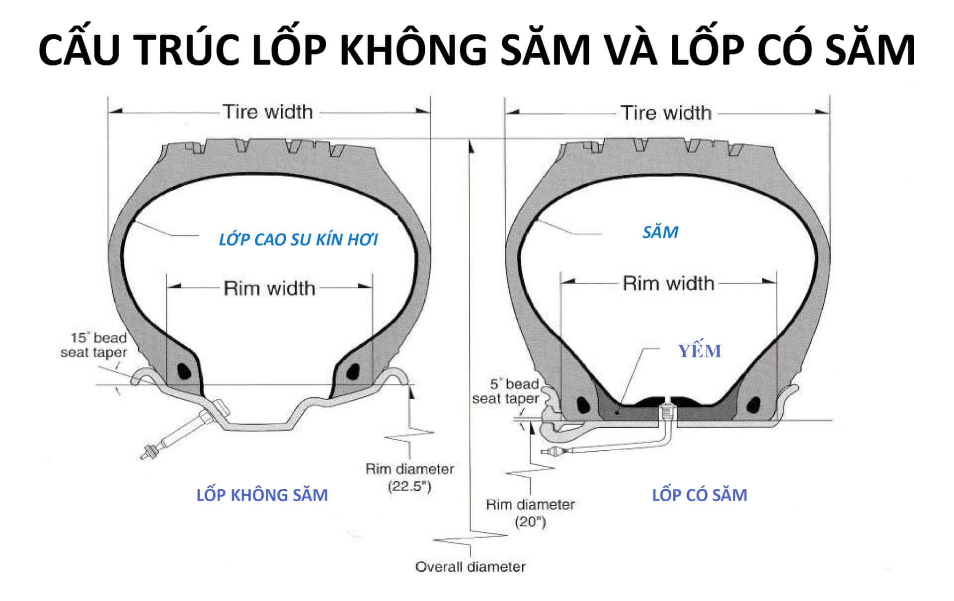 ưu điểm và cấu trúc của lốp không săm và lốp có săm cấu trúc của lốp không săm và lốp có săm