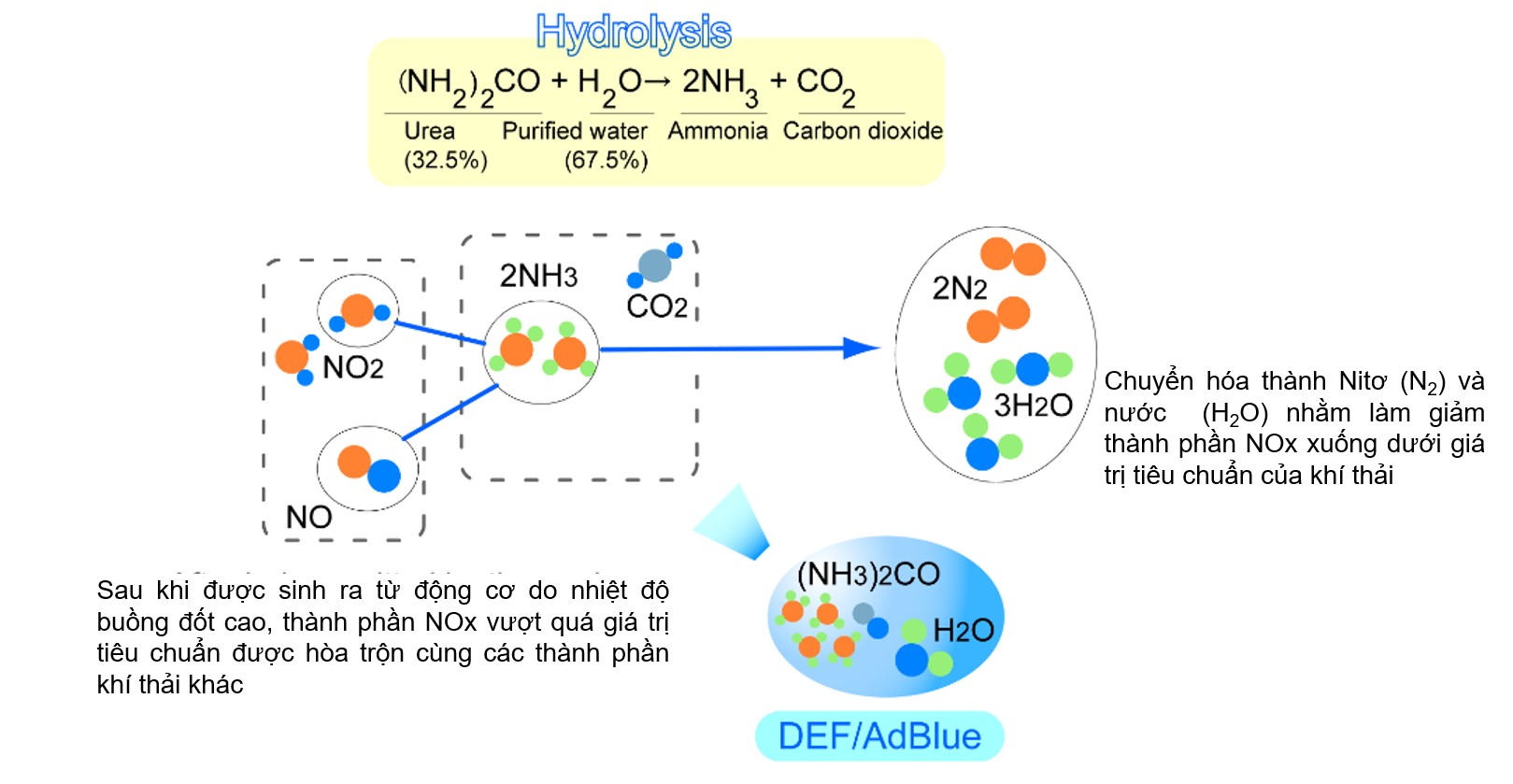 Quá trình chuyển hóa NOx 